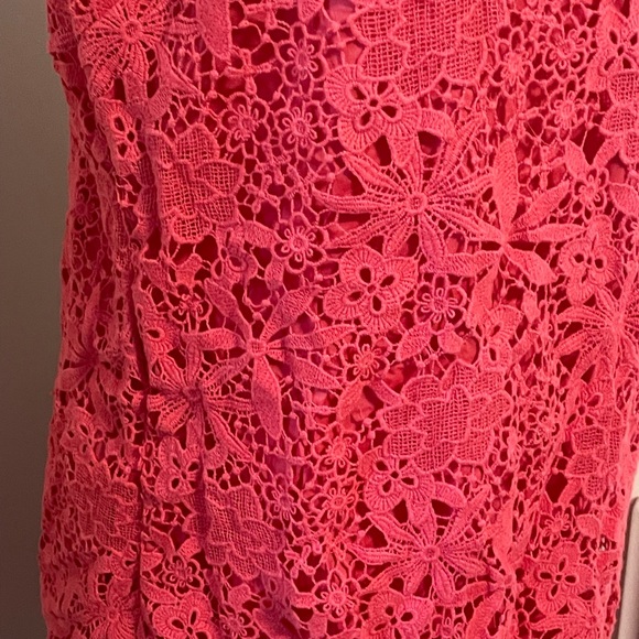 Lined lace J Crew dress - Picture 3 of 5